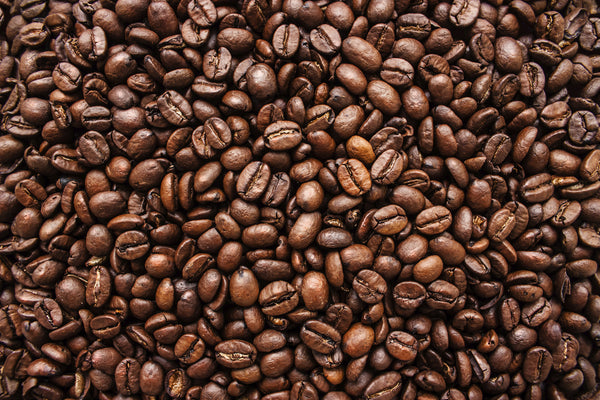 BevBar CoffeeMaker Pressurized Soft Pod Brewer – Wolfgang Puck Coffee